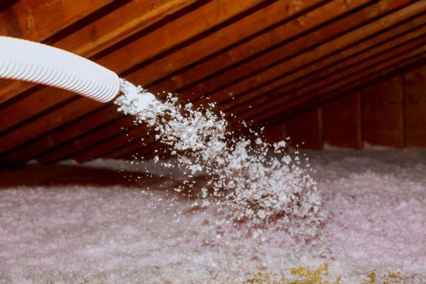 Best Specialized Insulation Services in North Olmsted, OH